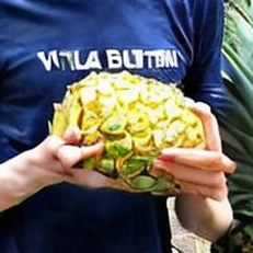 reeeeeeeeeeeeeeeee (reeeeeeeeeeeeeeeee.lens) Lens social identity (.lens handle) PFP