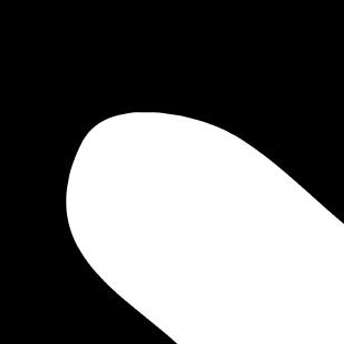 Bird Samurai (birdsamurai.lens) Lens social identity (.lens handle) PFP