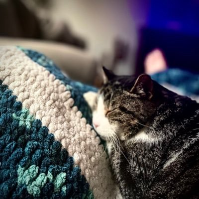 BradF65214673 (bradf65214673.lens) Lens social identity (.lens handle) PFP