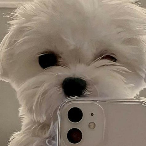 natysia (natysia2308.lens) Lens social identity (.lens handle) PFP