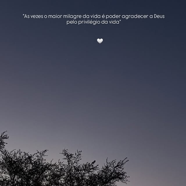 Civic Insight (lduhtrp.lens) Lens social identity (.lens handle) PFP