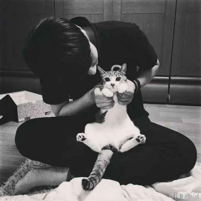 mrbears (mrbears.lens) Lens social identity (.lens handle) PFP