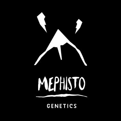 MephistoGenetic (mephistogenetic.lens) Lens social identity (.lens handle) PFP
