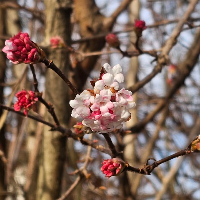 Fiscal Alchemy (jimwqv.lens) Lens social identity (.lens handle) PFP