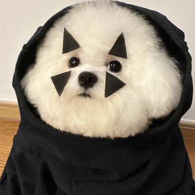 Norton Steele (iiiiid.lens) Lens social identity (.lens handle) PFP