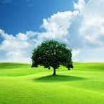 banti (bitcointothemoon.lens) Lens social identity (.lens handle) PFP