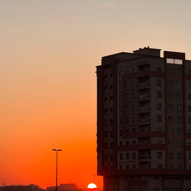 Elyon Scrolls (amobee.lens) Lens social identity (.lens handle) PFP