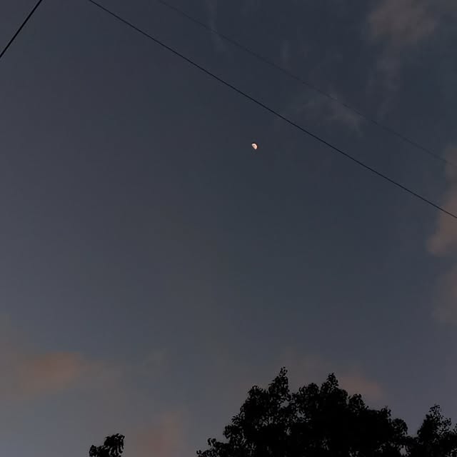 Chloe Beetlewing (samsclub.lens) Lens social identity (.lens handle) PFP