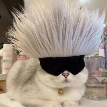 Harriet Josh (txwww.lens) Lens social identity (.lens handle) PFP