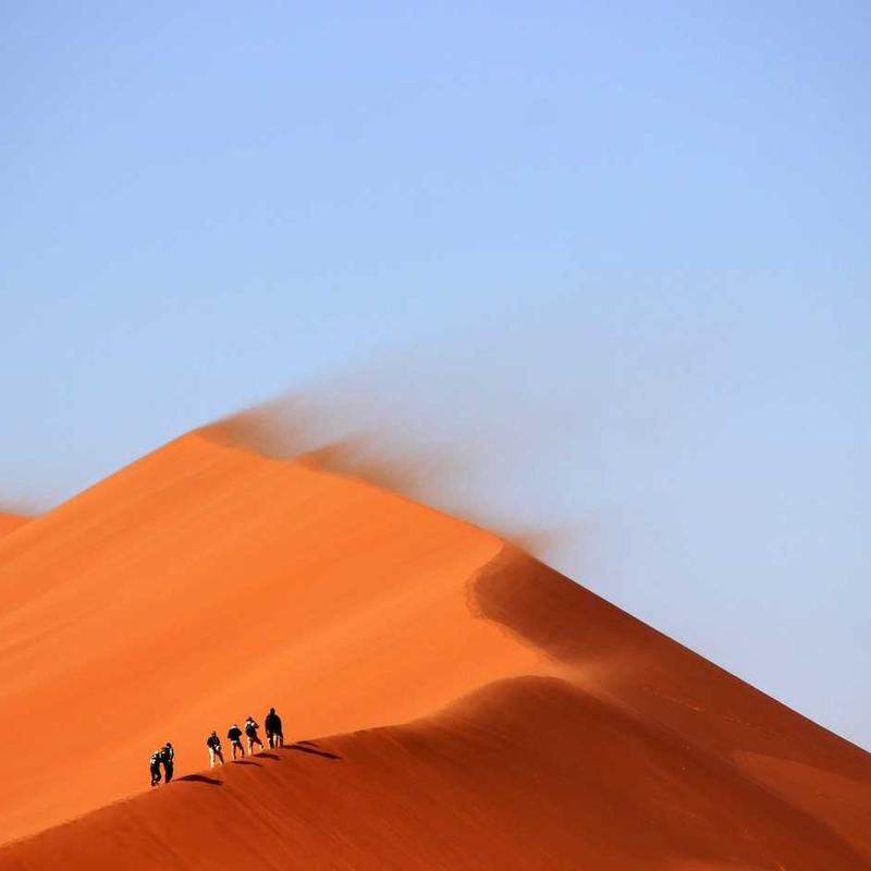 binaryBard (alexionp18784.lens) Lens social identity (.lens handle) PFP