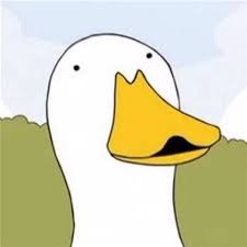 caroljasper (caroljasper.lens) Lens social identity (.lens handle) PFP