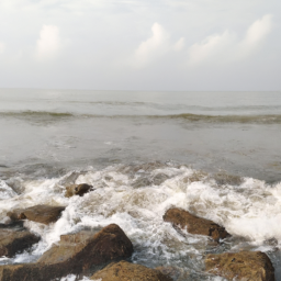 Jones Unity (johnsons.lens) Lens social identity (.lens handle) PFP