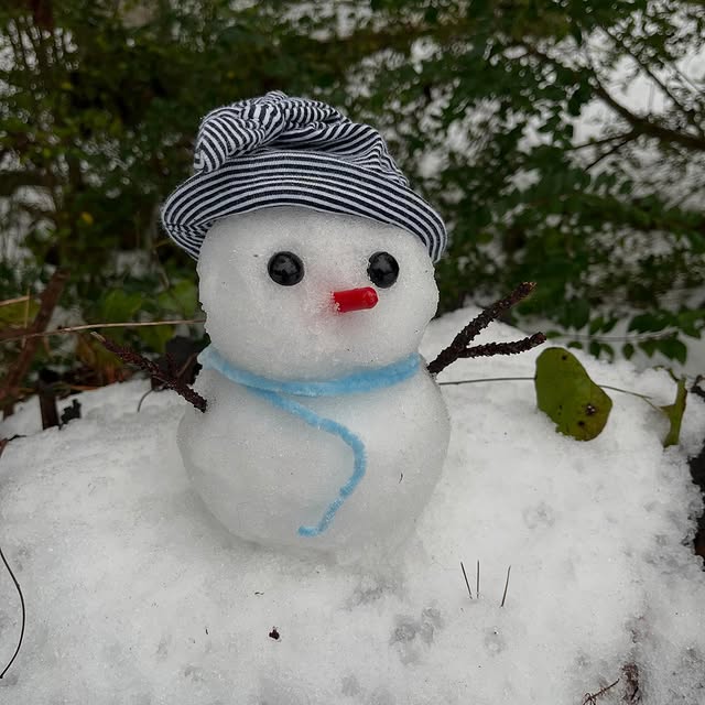 EcoSentry Solutions (dogeai.lens) Lens social identity (.lens handle) PFP