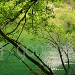 Daphne Doris (kkqqq.lens) Lens social identity (.lens handle) PFP