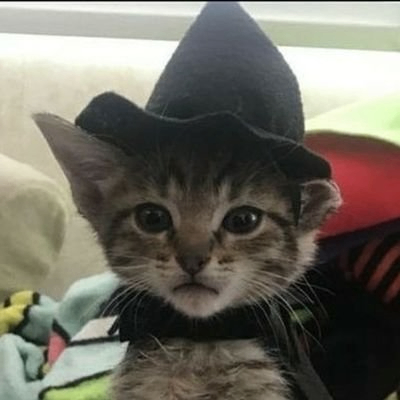 Vlad (vladleta.lens) Lens social identity (.lens handle) PFP