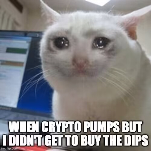 zxiao9056 (wanttorun.lens) Lens social identity (.lens handle) PFP