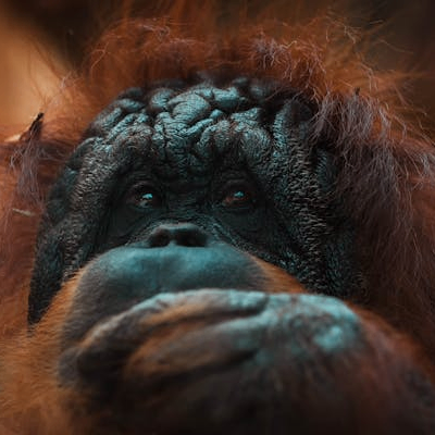 Fleetingtime (fleetingtime.lens) Lens social identity (.lens handle) PFP