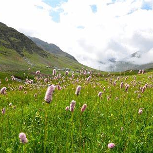 Mamie Saul (hhhhhm.lens) Lens social identity (.lens handle) PFP