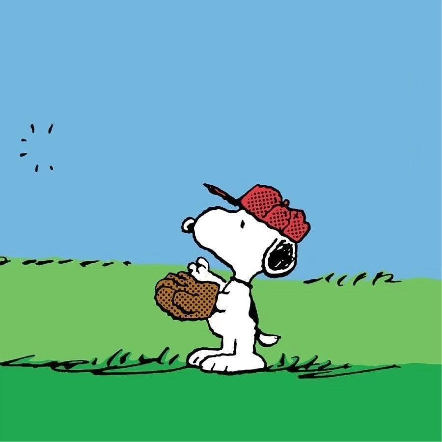 Jewel (ternencew.lens) Lens social identity (.lens handle) PFP