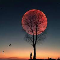 IndAgueda (indagueda.lens) Lens social identity (.lens handle) PFP