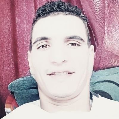 Sari_Friends (sarifriends.lens) Lens social identity (.lens handle) PFP