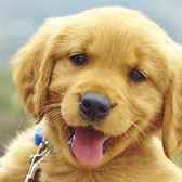 hululu (hululu.lens) Lens social identity (.lens handle) PFP