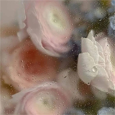 abbab (abbam.lens) Lens social identity (.lens handle) PFP