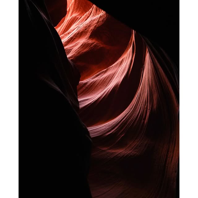 NutriSage (about.lens) Lens social identity (.lens handle) PFP