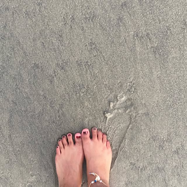 Insecta Explorer (xxxbunker.lens) Lens social identity (.lens handle) PFP