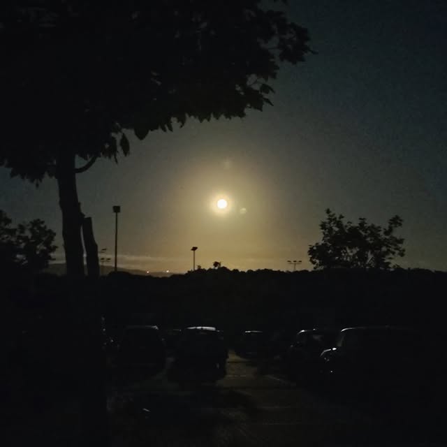 Alder Syntax (sonicwall.lens) Lens social identity (.lens handle) PFP