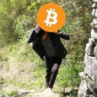 MaxShia_BTC (28176.lens) Lens social identity (.lens handle) PFP