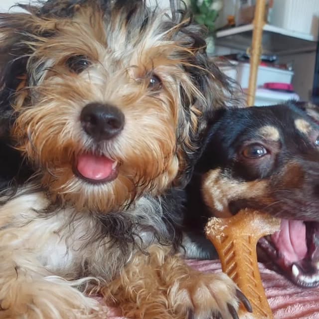 Chronos Scribe (ml314.lens) Lens social identity (.lens handle) PFP