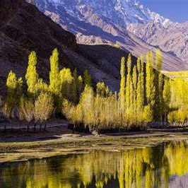 Murray Eva (yyyyyz.lens) Lens social identity (.lens handle) PFP