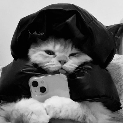 BeTaJlb (melstroy.lens) Lens social identity (.lens handle) PFP