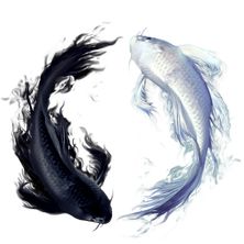 cvbtghghn (zonazoe.lens) Lens social identity (.lens handle) PFP