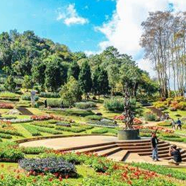 Ursula Lowell (vvvvvr.lens) Lens social identity (.lens handle) PFP