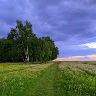 Natan (natan56.lens) Lens social identity (.lens handle) PFP