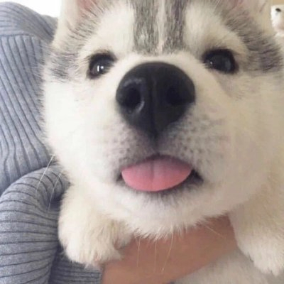 kaku time (mone53.lens) Lens social identity (.lens handle) PFP