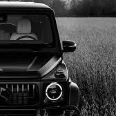 Kot (kotich.lens) Lens social identity (.lens handle) PFP