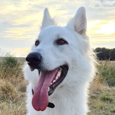 sebworldtennis (sebworldtennis.lens) Lens social identity (.lens handle) PFP