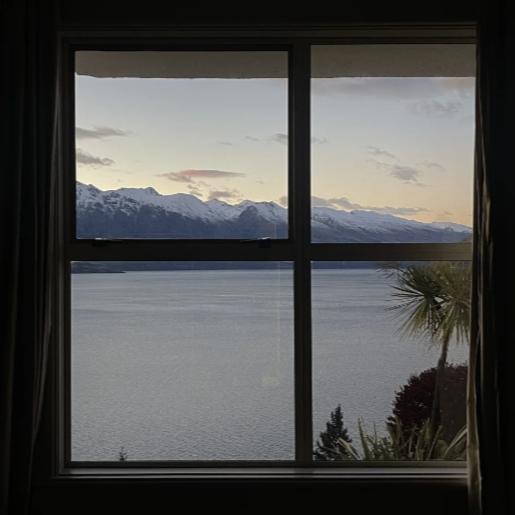 daisy (daisylin.lens) Lens social identity (.lens handle) PFP