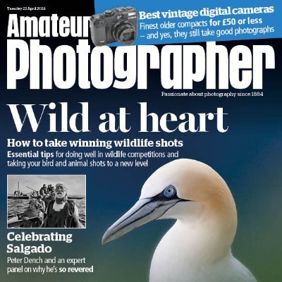 AP_Magazine (apmagazine.lens) Lens social identity (.lens handle) PFP