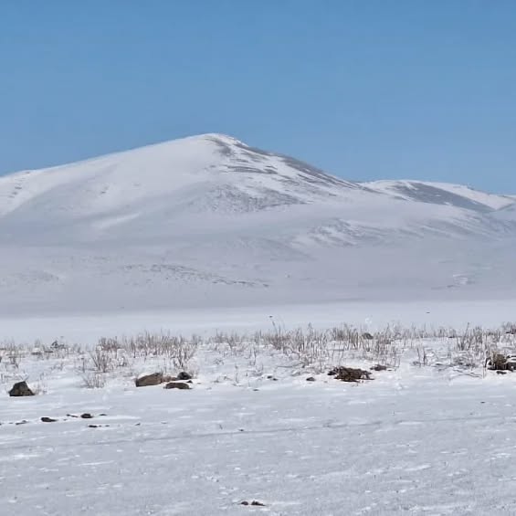 GeneVita Associates (lpcdn.lens) Lens social identity (.lens handle) PFP