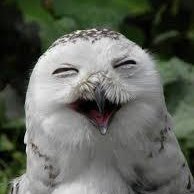 gk120652 (gk120652.lens) Lens social identity (.lens handle) PFP