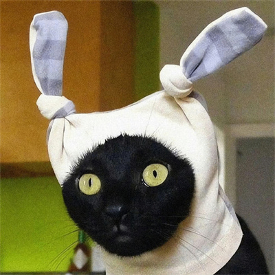 hbmirr (hbmirr.lens) Lens social identity (.lens handle) PFP