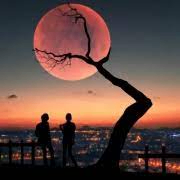 Mose (sanwang.lens) Lens social identity (.lens handle) PFP