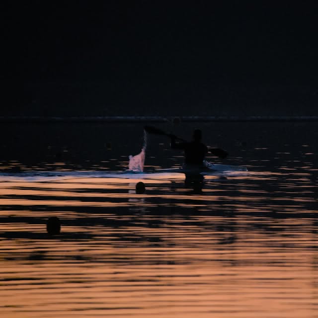 Linguistic Alchemy (ulogix.lens) Lens social identity (.lens handle) PFP