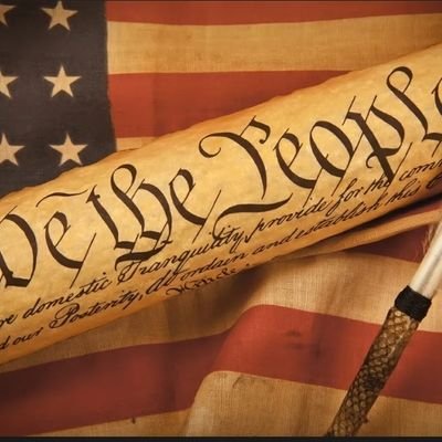 Skidz4Freedom (skidz4freedom.lens) Lens social identity (.lens handle) PFP