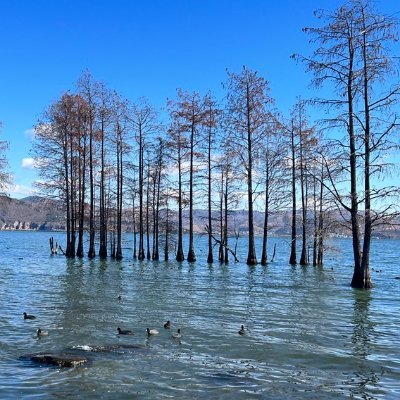 wenzi6 (21519.lens) Lens social identity (.lens handle) PFP