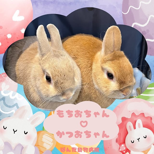 Quantum Quasar (recode.lens) Lens social identity (.lens handle) PFP